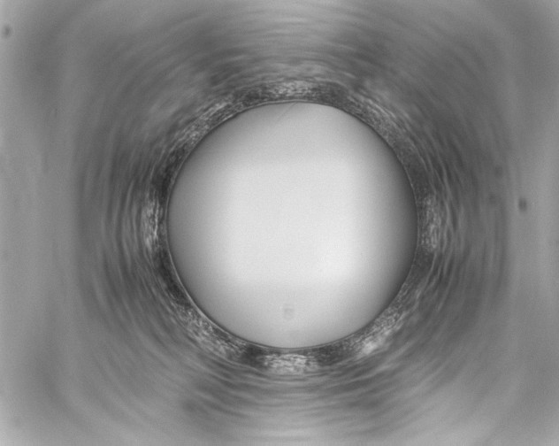 X0000057060230200510071415