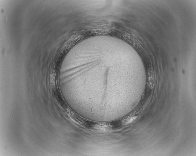 X0000057060231200510071415