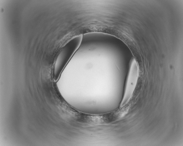 X0000057060233200510071415