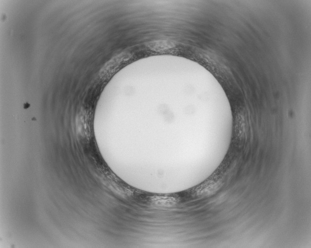 X0000057060234200510071415