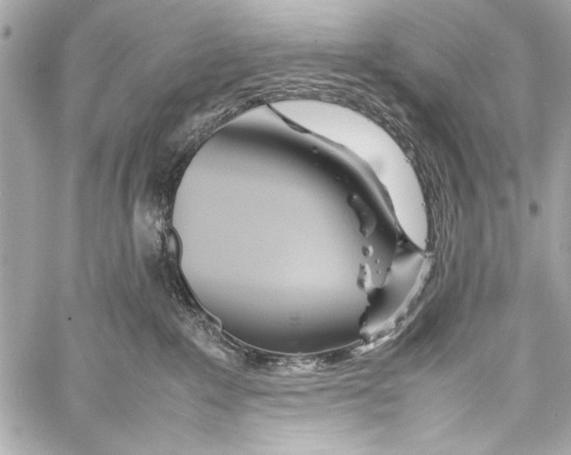 X0000057060235200510071415