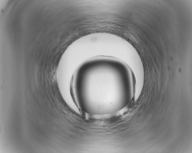 X0000057060237200510071415