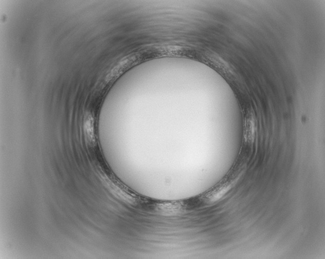 X0000057060238200510071415