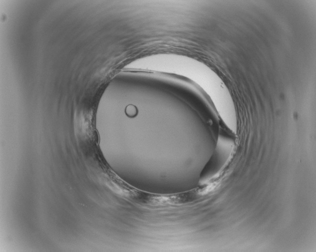 X0000057060239200510071415