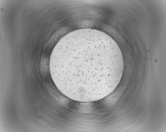 X0000057060240200510071414