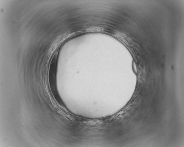 X0000057060241200510071414