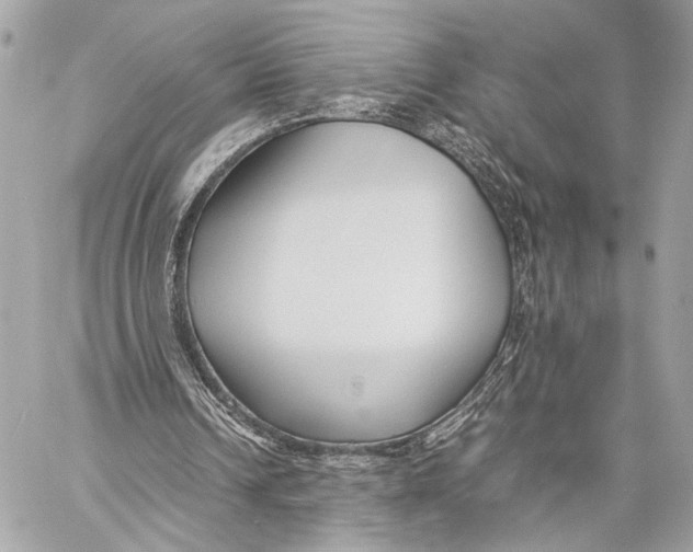 X0000057060242200510071414