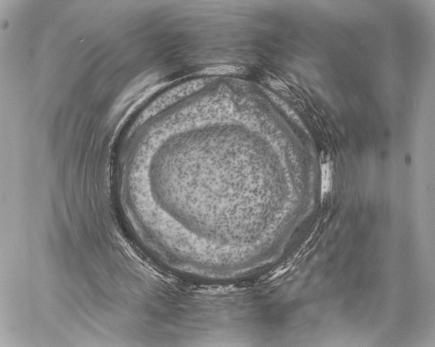 X0000057060243200510071414