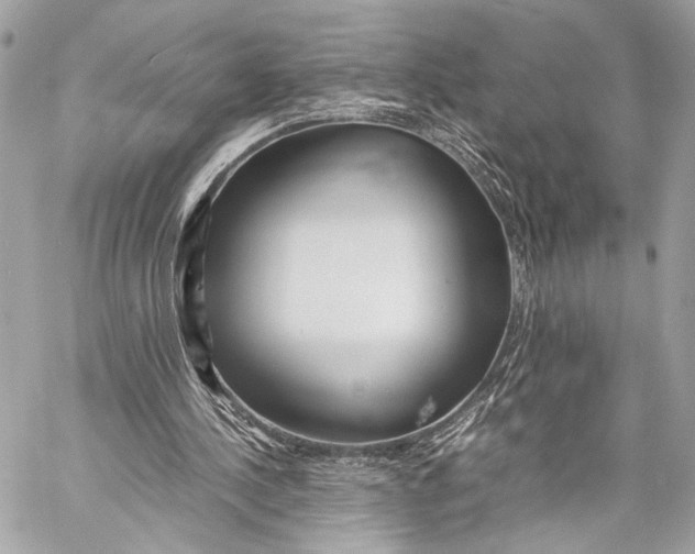 X0000057060244200510071414