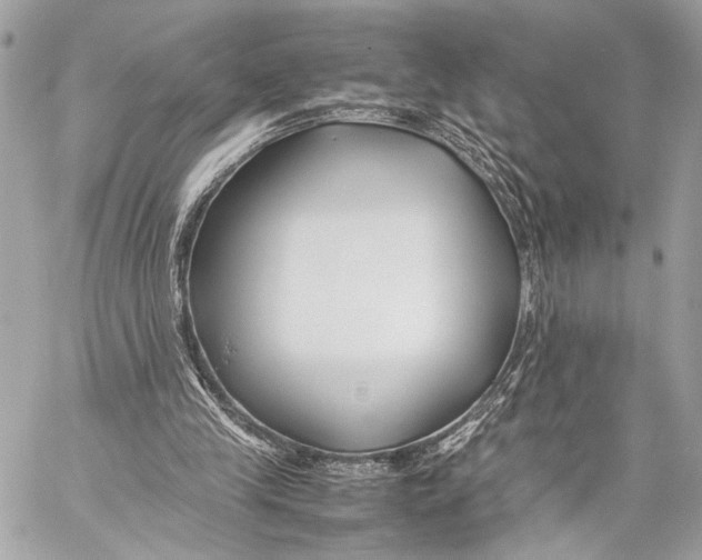 X0000057060245200510071414