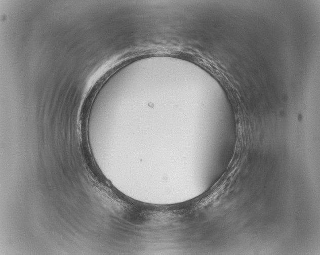 X0000057060246200510071414