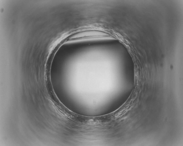 X0000057060248200510071414