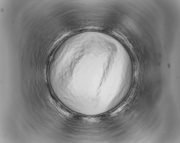 X0000057060249200510071414