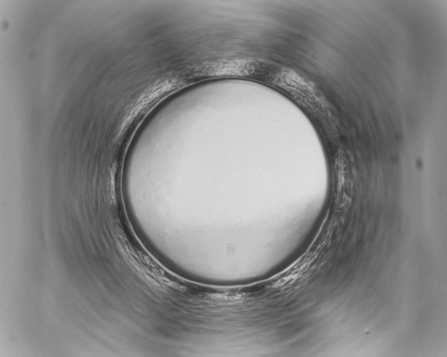 X0000057060250200510071414