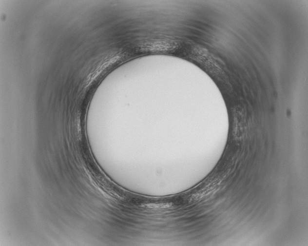 X0000057060251200510071414