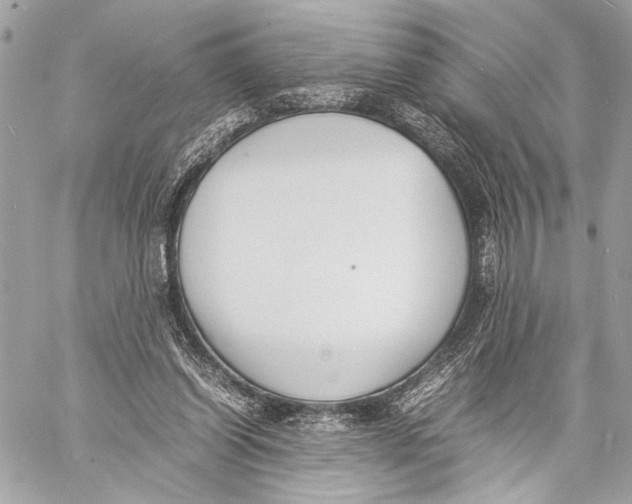 X0000057060254200510071414