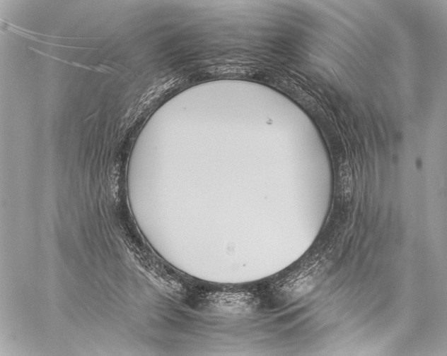 X0000057060255200510071414