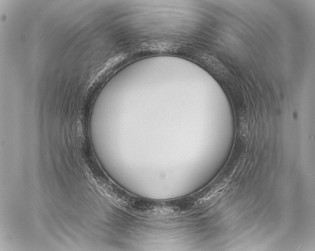 X0000057060256200510071414