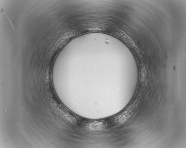 X0000057060257200510071414