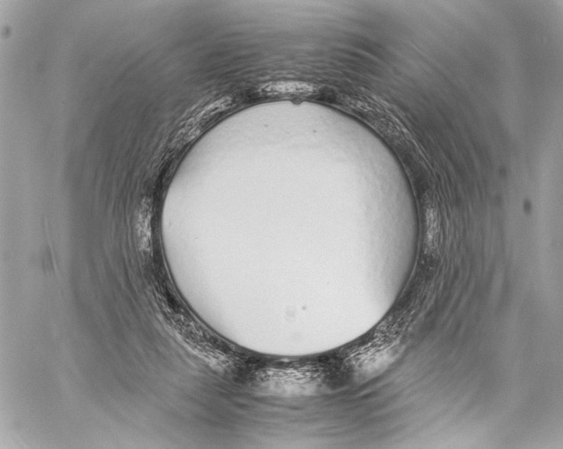 X0000057060259200510071414