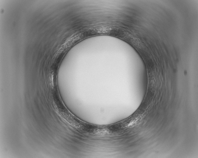 X0000057060262200510071414