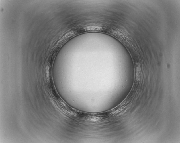 X0000057060263200510071414