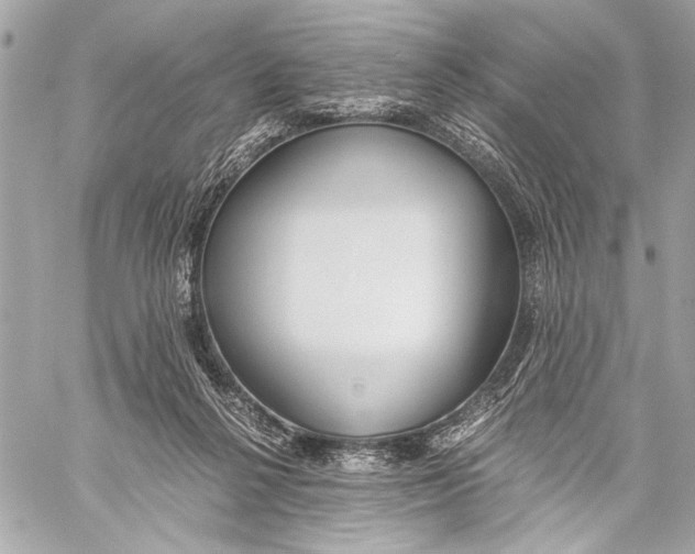 X0000057060264200510071414