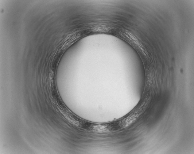 X0000057060265200510071414