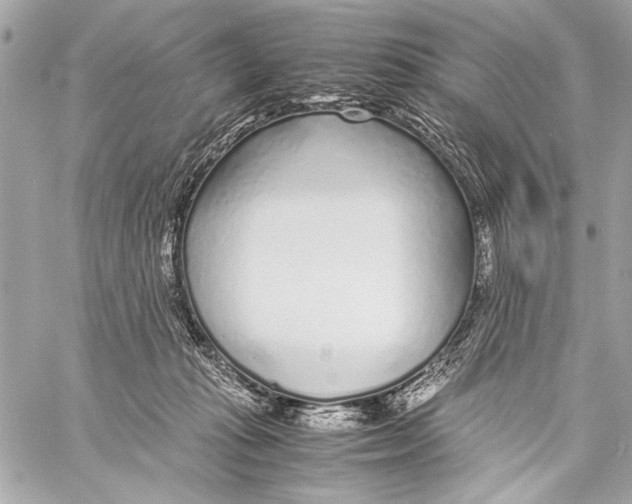 X0000057060269200510071414