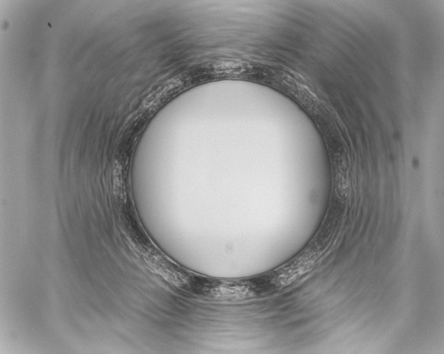 X0000057060270200510071414