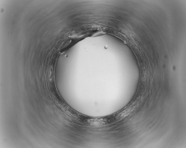 X0000057060273200510071414