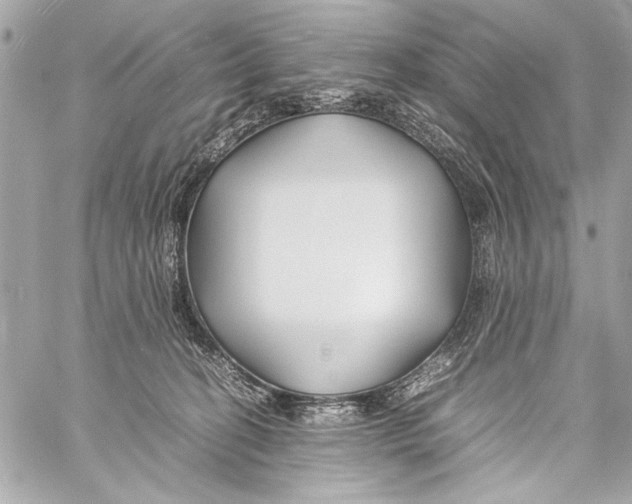 X0000057060274200510071414