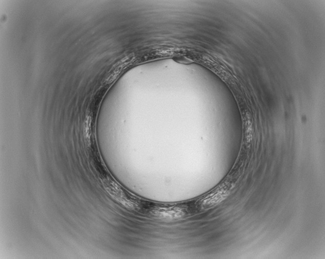 X0000057060275200510071414