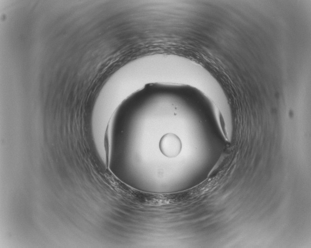 X0000057060276200510071414