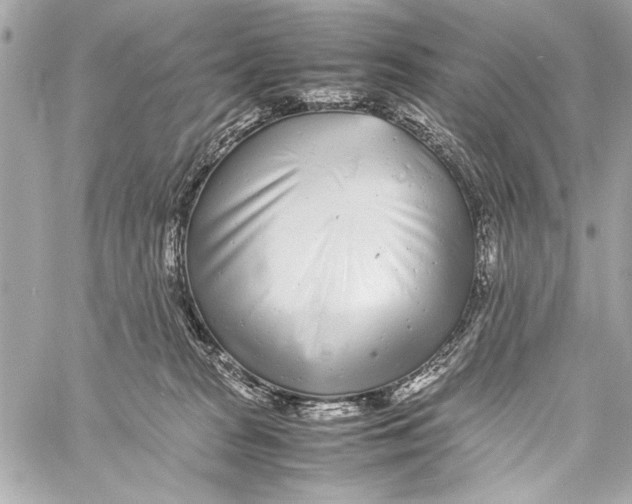 X0000057060277200510071414