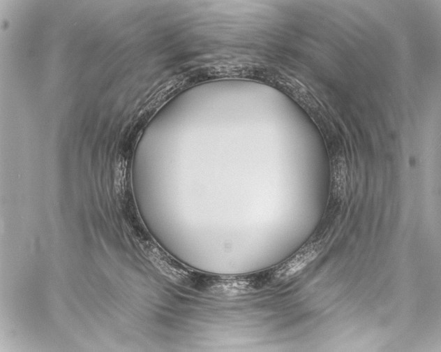 X0000057060278200510071414