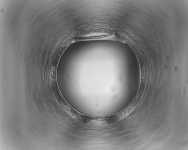 X0000057060280200510071414