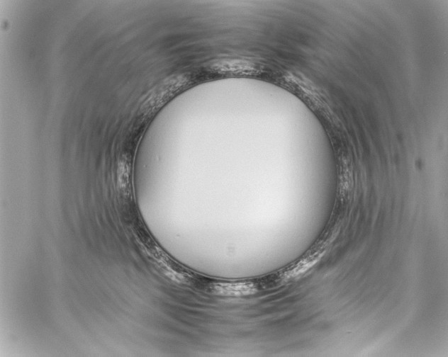 X0000057060281200510071414