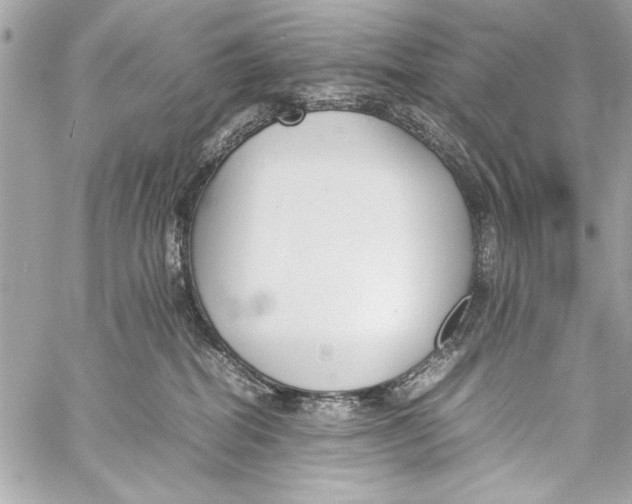 X0000057060282200510071414