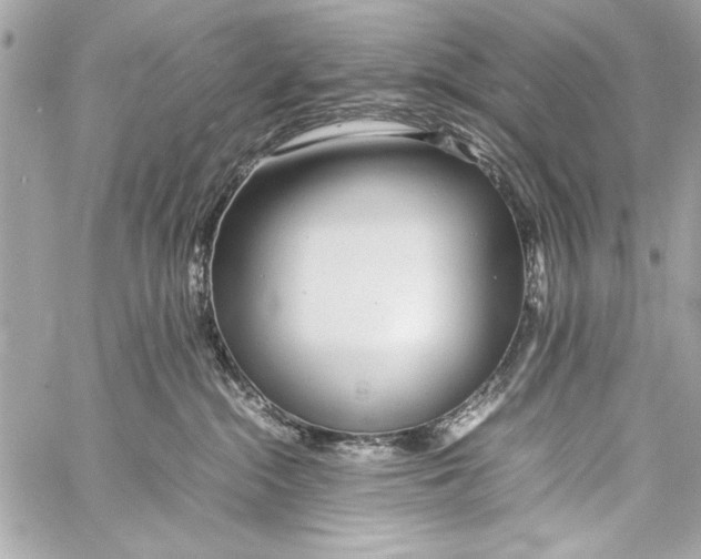 X0000057060284200510071414