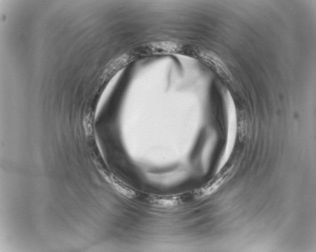 X0000057060285200510071414