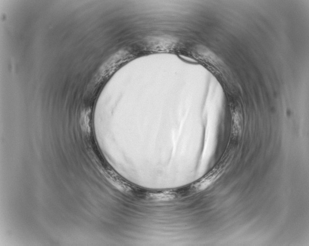 X0000057060286200510071414