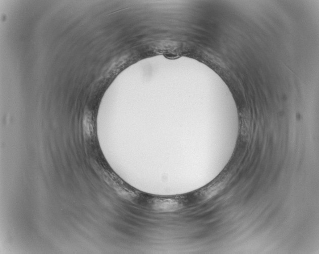 X0000057060287200510071414