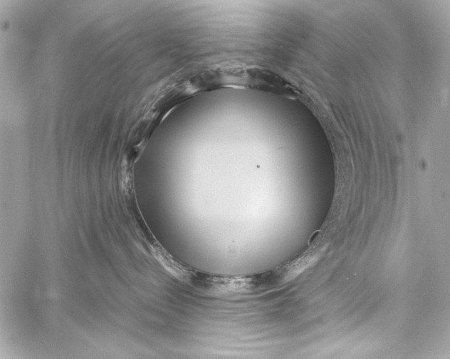 X0000057060288200510071414