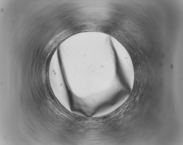 X0000057060290200510071414