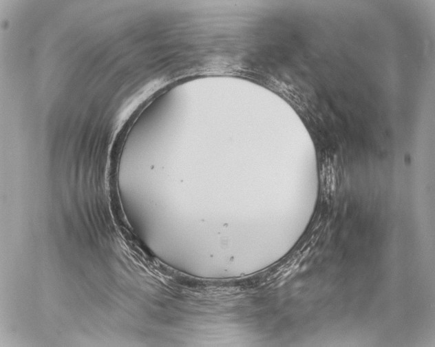 X0000057060292200510071414