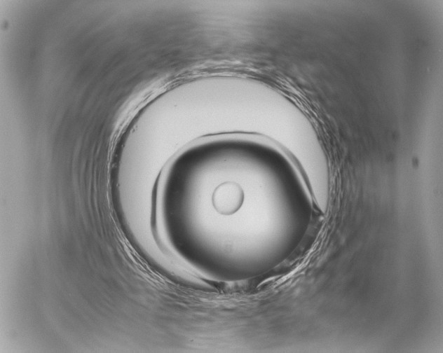 X0000057060293200510071414