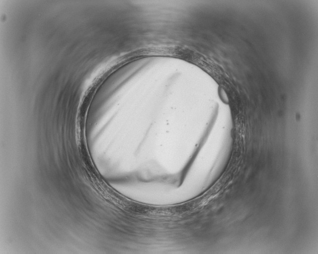 X0000057060294200510071414