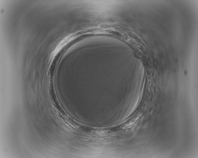 X0000057060295200510071414