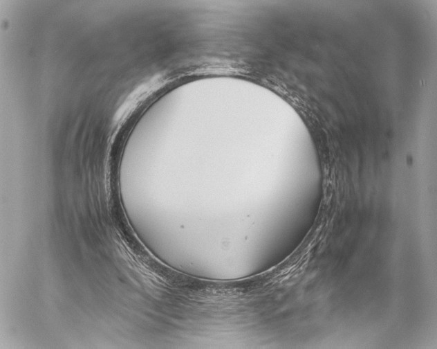 X0000057060296200510071414